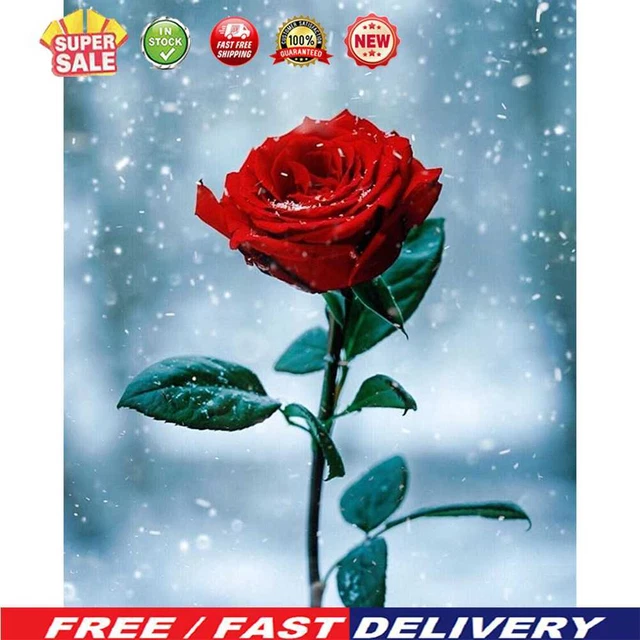 (DB3287) 5D Póster de Pintura de Diamantes Hágalo usted mismo Rosa en Flor Estrás Imagen (A102)
