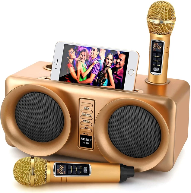 Karaoke Machine,  Portable PA Speaker System with 2 Wireless Microphone for Home