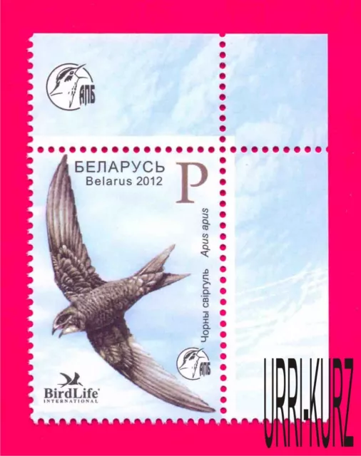 BIELORRUSIA 2012 Fauna Natural Pájaro del Año Negro Rápido 1v Mi 914 Estampillada sin montar o nunca montada