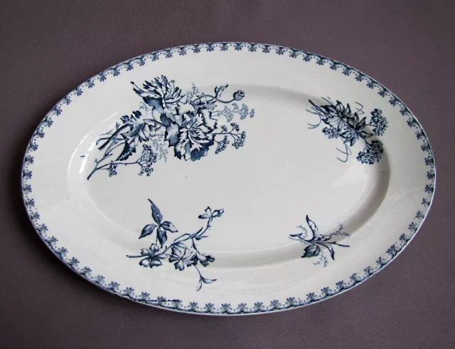 Plat  Ovale 36,5 cm Service VEGA en Faïence de Sarreguemines