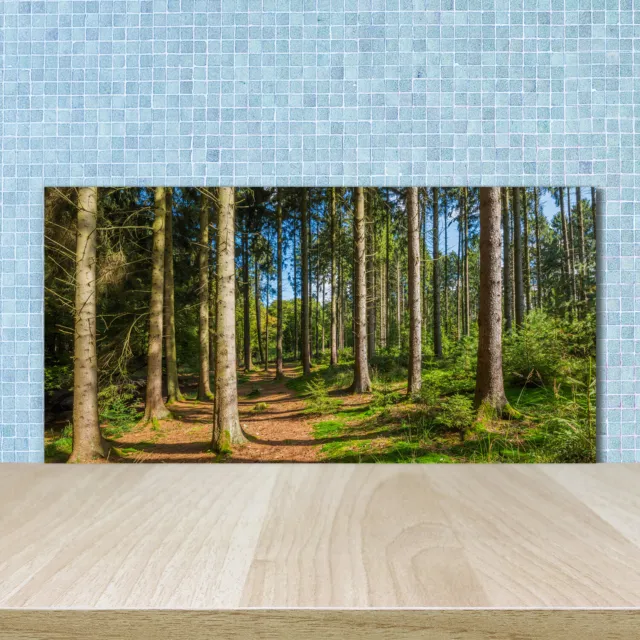 Küchenrückwand Spritzschutz aus Glas 100x50 Deko Landschaften Wald Panorama