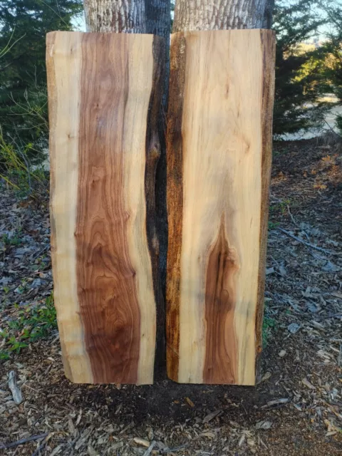 Black Walnut Slabs (Live Edge) River Table Set , epoxy set, nice.