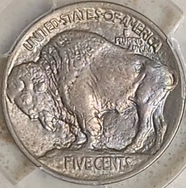 1913 Type 1 Buffalo Nickel PCGS MS64 Rainbow Toned Reverse 5C Indian Type Coin