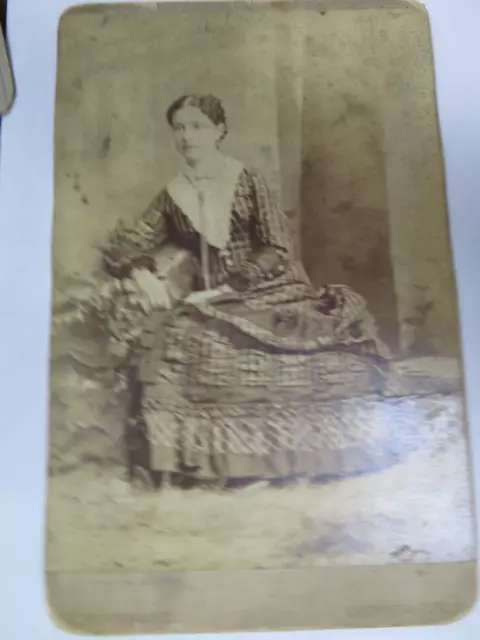 Portrait Of A Lady Dress By Famed Denver Photographer: A. E. Rinehart