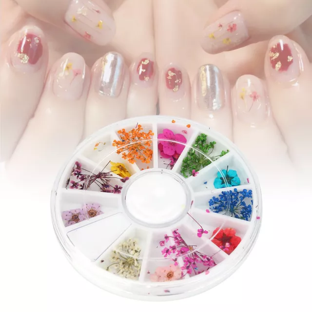 12 Types Colorful Natural Dried Flowers Set Real Dry Flowers Nail Decor GDB 3