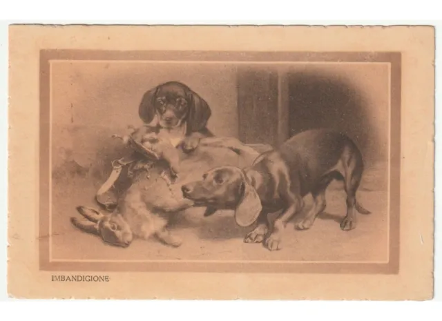 1930 cartolina d'epoca coppia cani bassotto coniglio anatra prede di caccia