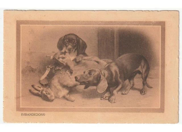 1930 cartolina d'epoca coppia cani bassotto coniglio anatra prede di caccia