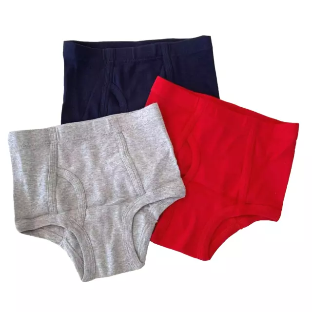 Hanna Andersson Organic Cotton 3-Pack "CLASSIC BRIEFS" 2-3 Years. Great Gift!