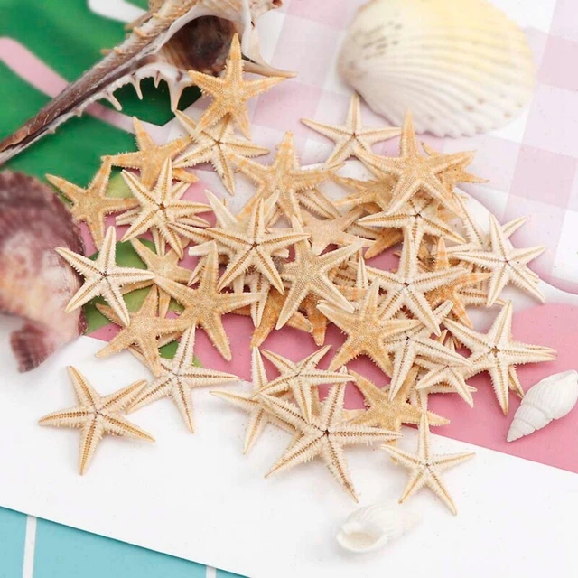 12 Breloques De Chaussures été - étoiles De Mer, Coquillages, Perles - PVC - Pour Personnaliser Sandales, Crocs, Sabots