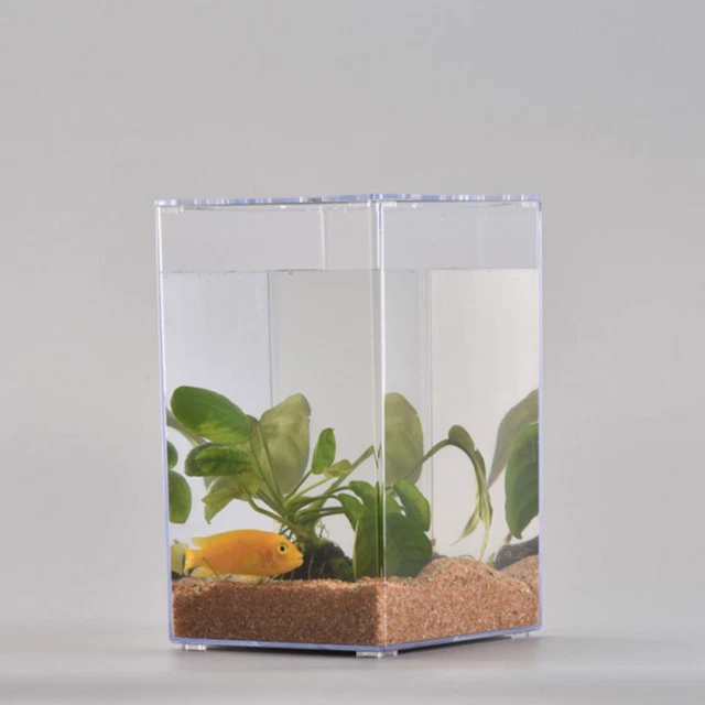 Fish Bowl Accessories Betta Fish Tank Minimalistic Decor Small Fish 3
