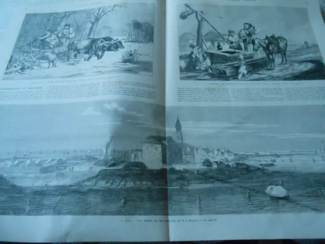 Grande Gravure 1866 - Le Lido vue prise de Malamocco