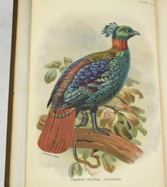 W. R. Ogilvie-Grant Lloyd's Natural History Game Birds 2 VOLS 1896 48 COL PLATES