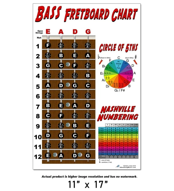 LAMINATED 4 STRING Bass Fretboard Chart Poster Nashville Numbering ...