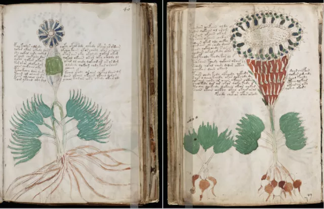 The Mysterious Voynich Manuscript Cipher Cryptography Unsolved Code on DVD 2