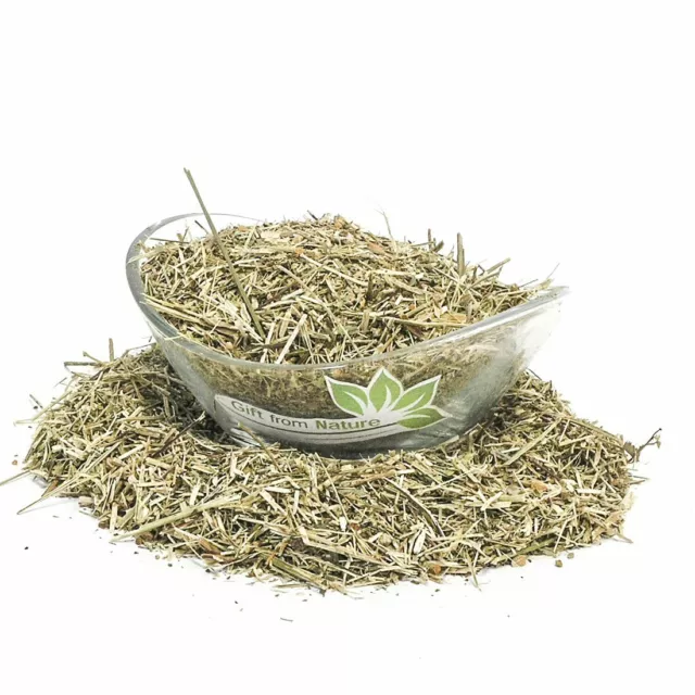 GREAT BURNET Herb Dried ORGANIC Bulk Tea,Sanguisorba officinalis Herba