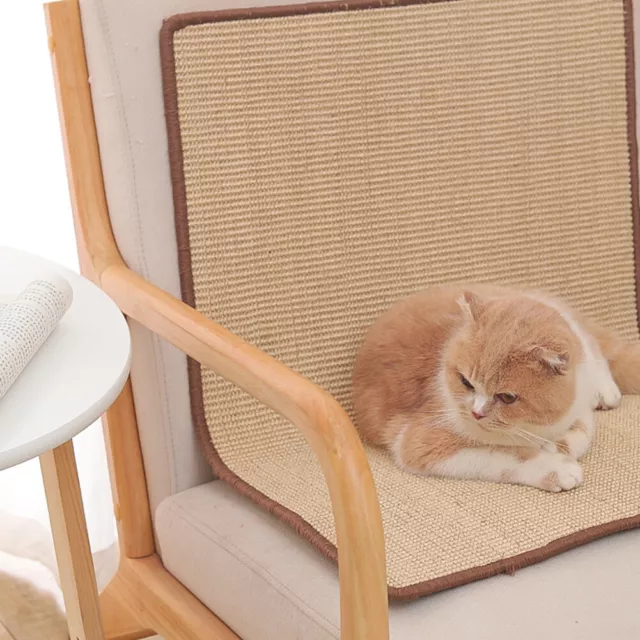 Non Slip Carpet Cat Scratch Mat Furniture Protector Rectangle Wear Resistant 2