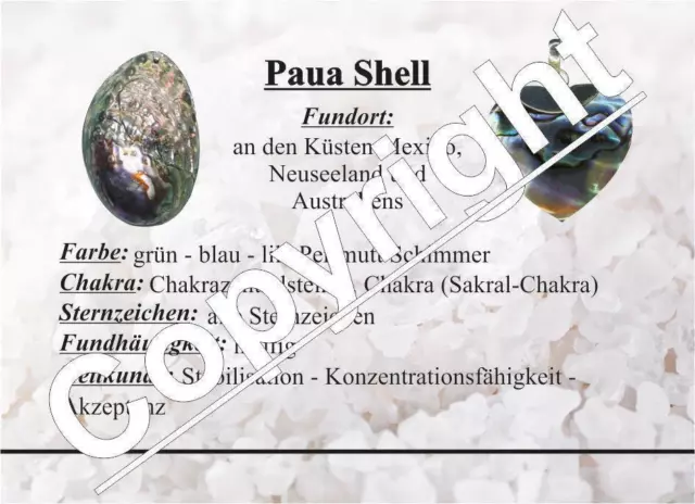 Paua Shell Muschel 50 Gramm = ca 70-100  kleine Stücke Seeopal  mit herrlichem 2