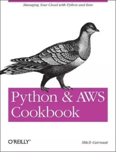 Mitch Garnaat Python and AWS Cookbook (Taschenbuch) 2