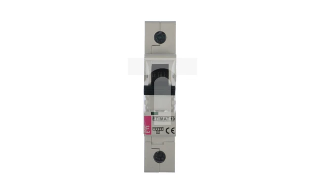 Interruptor de protección de línea 1P C 80A 10kA AC ETIMAT10 002131731 /T2DE