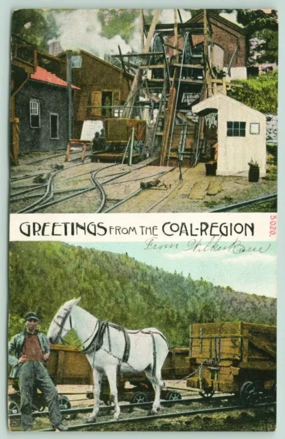 Coal Region Greetings~Wilkes Barre PA~White Donkey RR Cart~Close UP Mine~c1908