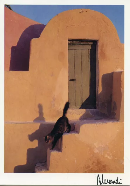 Cpsm / Carte Postale / Chat / Cat / Illustrateur // Alessandri / Time For A Walk
