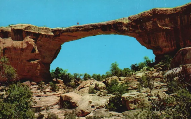 Postcard UT Natural Bridges National Monument Owachomo 1957 Vintage PC H6142