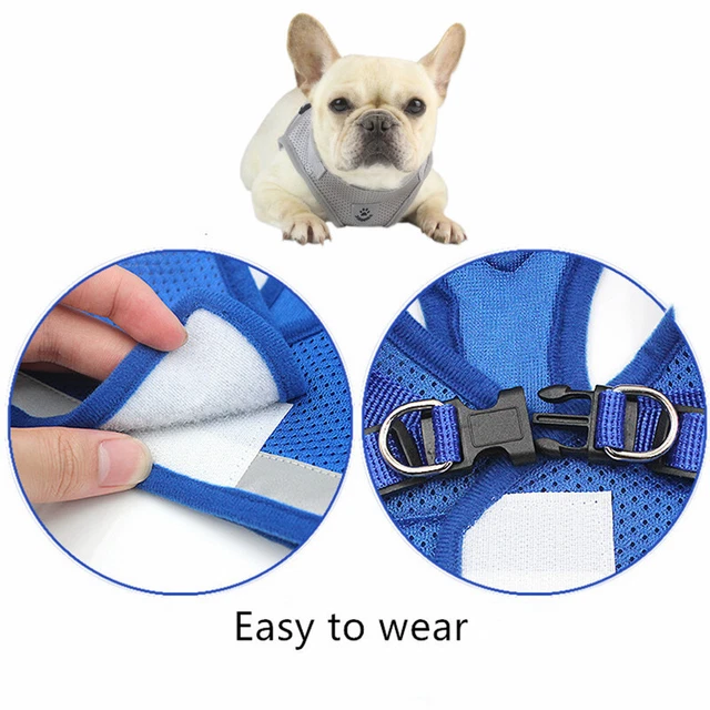 Pet Dog Cat Harness & Leash Set for Small Medium Dogs Puppy Cats Chest Strap