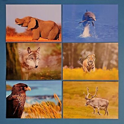 Set Di 6 Nuovo Animale Wildlife Cartoline, Uccello, Elefante, Dolphin, Tigre,
