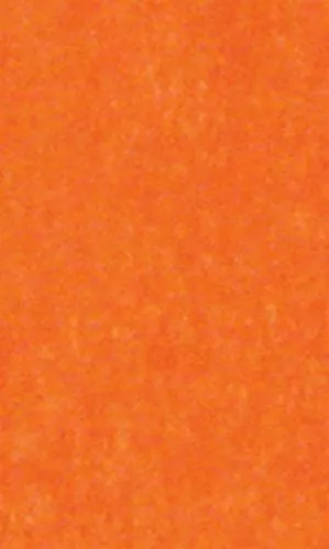 Tissue Paper Orange 20" x 30" 240 Large Sheets Gift Wrap Wrapping Ships Flat