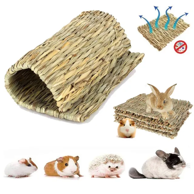 Pet Animal Hamster Mat Grass Chew Breakers Rabbit Rat Guinea Pig House Pad TJP