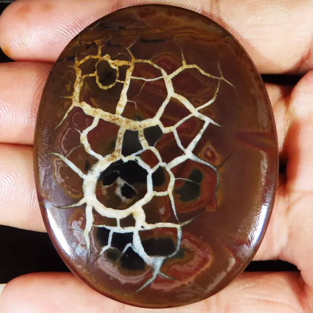 150.45 CT Natural Septarian Gronates Oval Cabochon Gemstone 48x59x5 mm gt_206