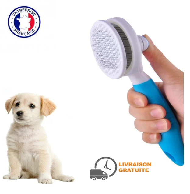 Brosses De Toilettage Pour Chats Et Chiens, Autonettoyante Toilettage Massante P