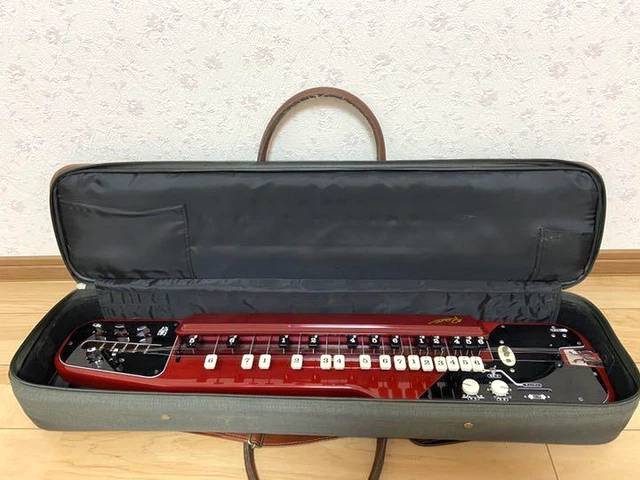 SUZUKI RAN Electric Taishogoto Soprano softcase Operation confirmed [Excellent]