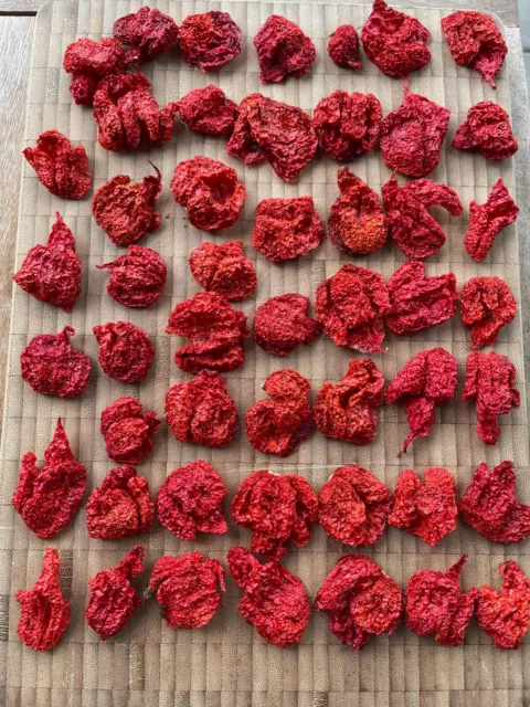 100 Getrocknete Hälften Carolina Reaper. HP22B Superhot Weltrekord über 2 Mio Sc