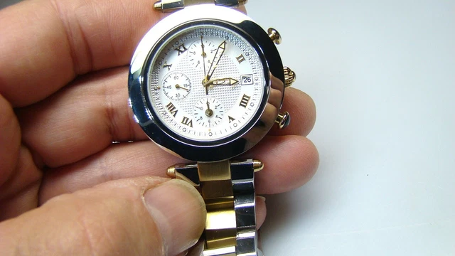 Daniel Steiger Stainless Watch 2010DS-M in Presentation Case Box