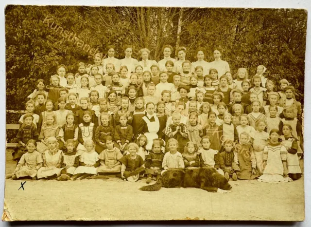 orig. KAB Fotografie Mode Kabinett Foto um 1885 Kinder Jungen Mädchen Hund