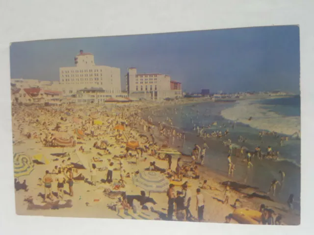 Vintage California postcard crowded beach scene SANTA MONICA BEACH 1950s