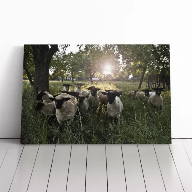 Sheep Flock (1) Canvas Wall Art Print Framed Picture Decor Living Room Bedroom