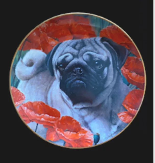 ~ LIMITED EDITION ~ Danbury Mint PUG POPPY LOVE  by Simon Mendez  Plate MINT