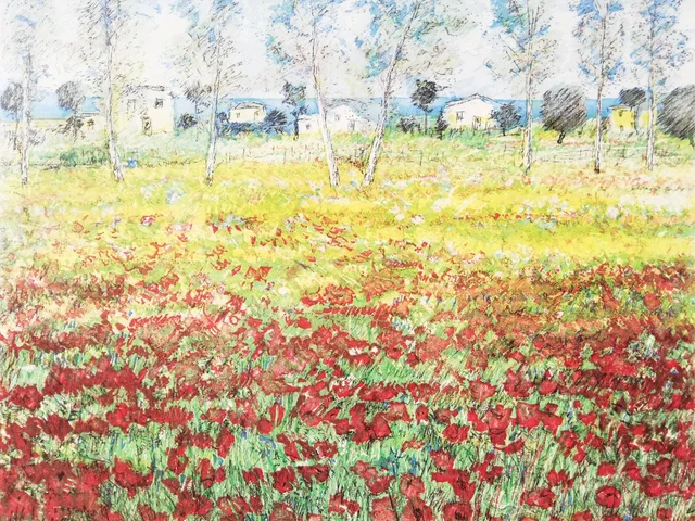 MICHELE CASCELLA: Incisione Acquaforte 64x86, Firmata, Cornice, P.A. STUPENDA!!!