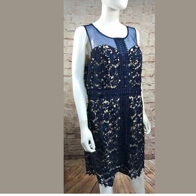 Liza Luxe Navy Lace Dress Size 1X Lace Sleeveless  H-12