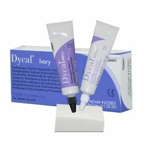 Dentsply Dycal Ivoire Radio-opaque Hydroxyde de Calcium Pâte Coiffage...