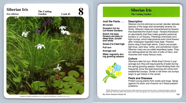 Siberian Iris #43 Cutting - My Green Gardens 1987 Cardmark Card