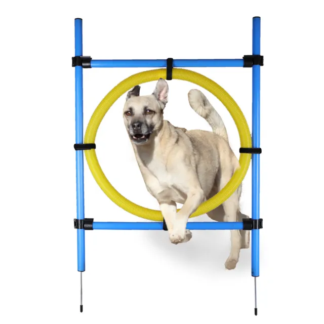 Agility obstáculo para perros obstáculo para entrenamiento anillo de salto obstáculo deporte canino recorrido de entrenamiento