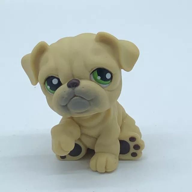 BULLDOG DOG #107 - Authentic Littlest Pet Shop - Hasbro LPS Green Eyes BULLDOG DOG #107 - Authentic Littlest Pet Shop - Hasbro LPS Green Eyes
