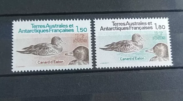 2 Timbres France Taaf N°97/98 Canards Neuf ** Luxe Mnh 1982 / Stamps