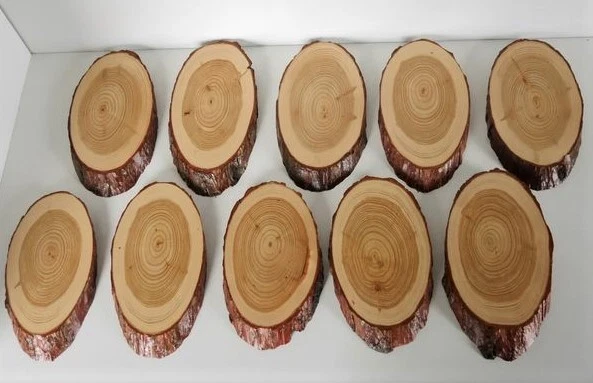 10x Alerce Signos Escudo de Trofeo Ciervo Corzo Cornamenta Baumschild Madera