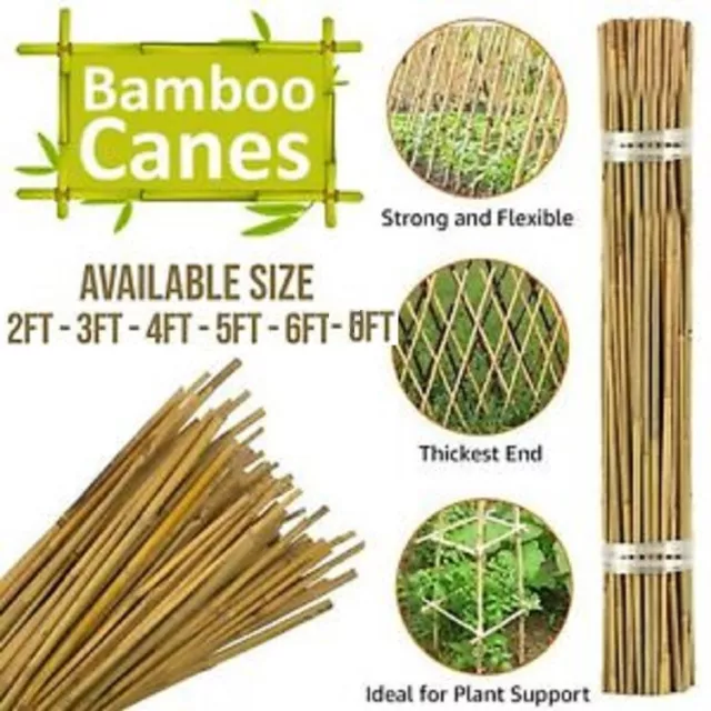 2ft/3ft/4ft/5ft/6ft/ 8ft Bamboo Canes Professional Garden Plant Support Sticks