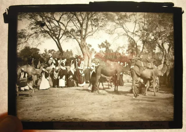 Plaque photo Egypte Le Caire Marché aux chameaux Cairo Camel Market Egypt c 1920