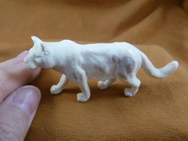 COU-W3 little Cougar panther shed ANTLER figurine Bali detailed carving big cats